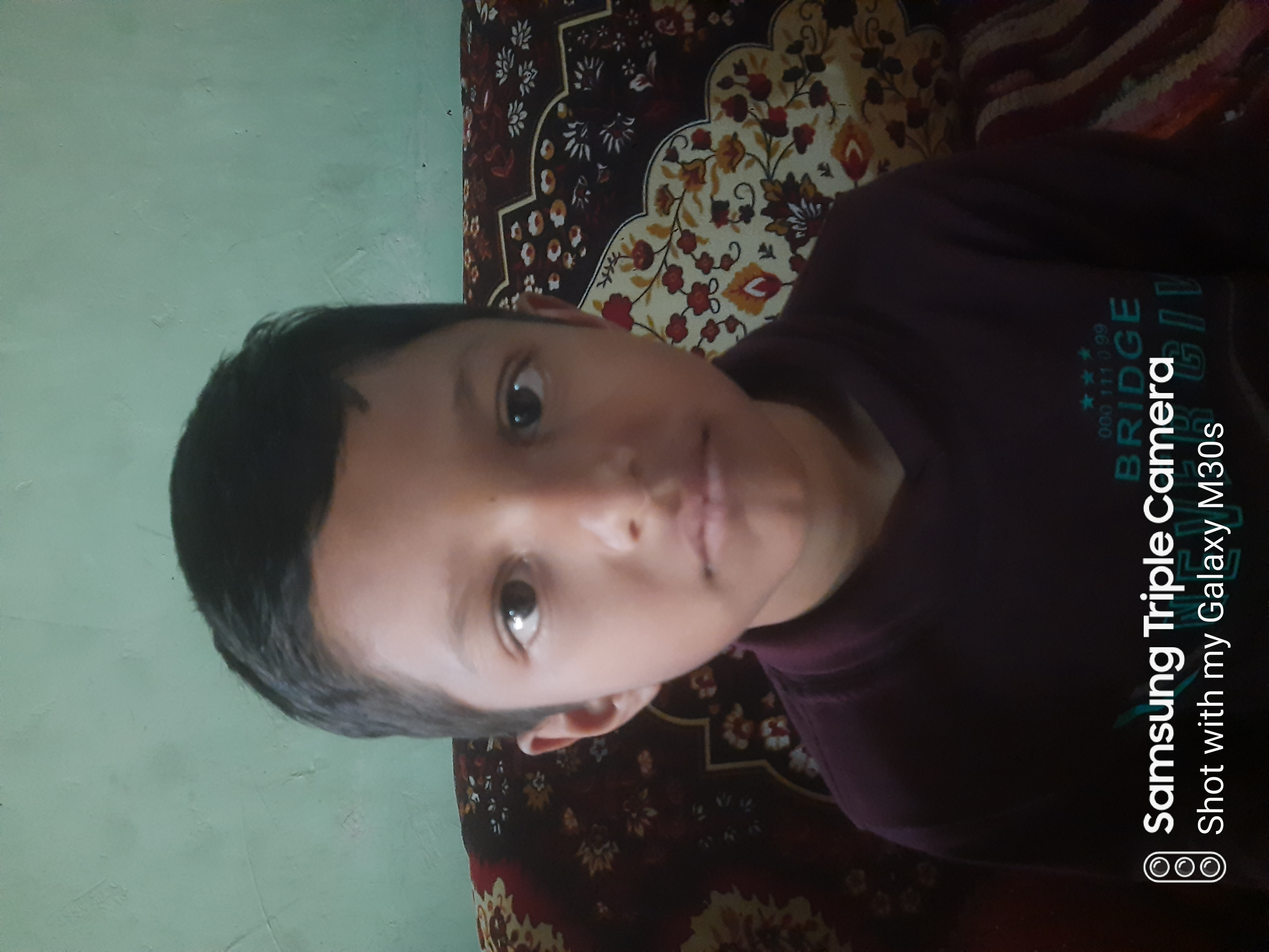 Image 4