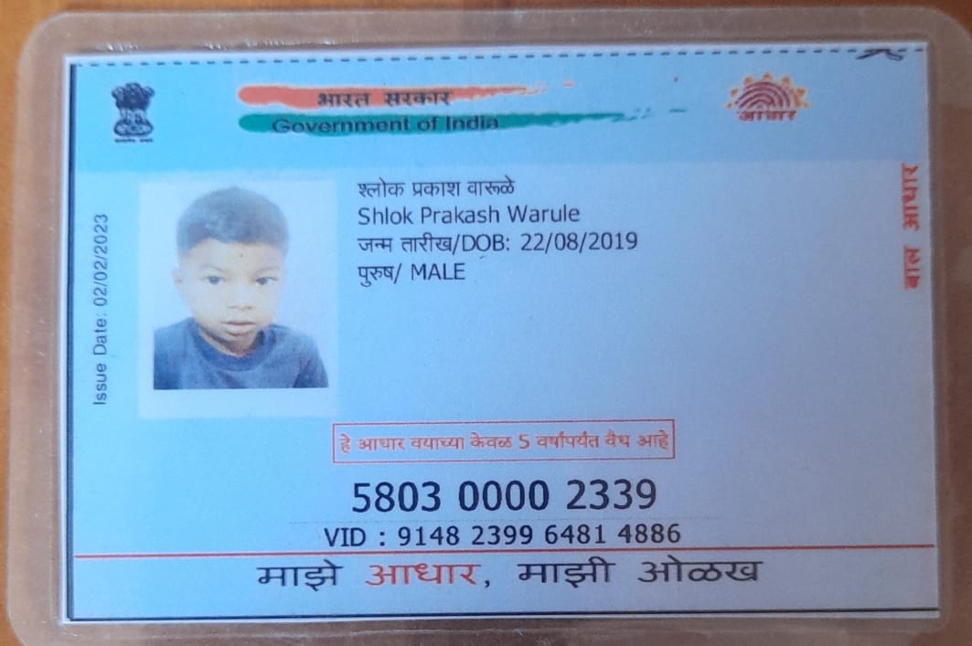 Image 14